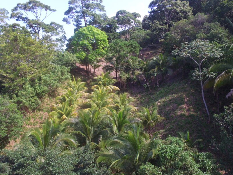 Lot hillside next to National Park